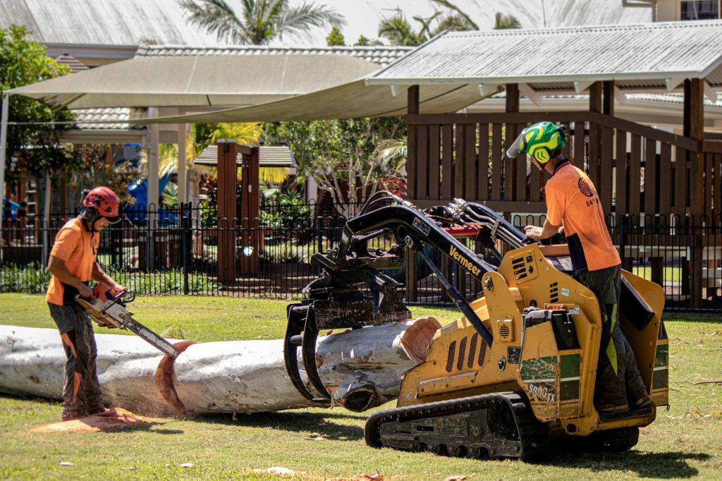 Tree Care Solutions